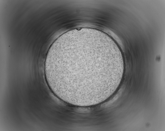 X0000102841049200809151059