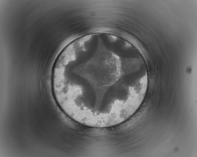 X0000102841050200809151059