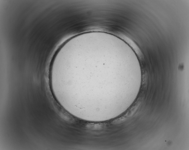 X0000102841051200809151059