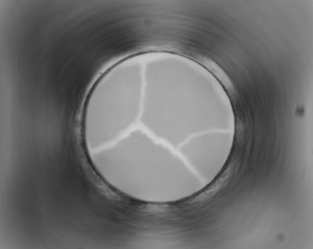 X0000102841052200809151059