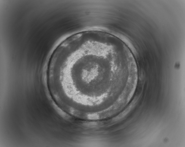 X0000102841054200809151059