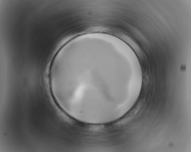 X0000102841055200809151059