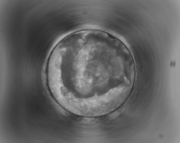 X0000102841056200809151059