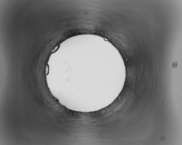 X0000102841057200809151058