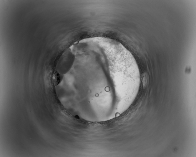 X0000102841059200809151058