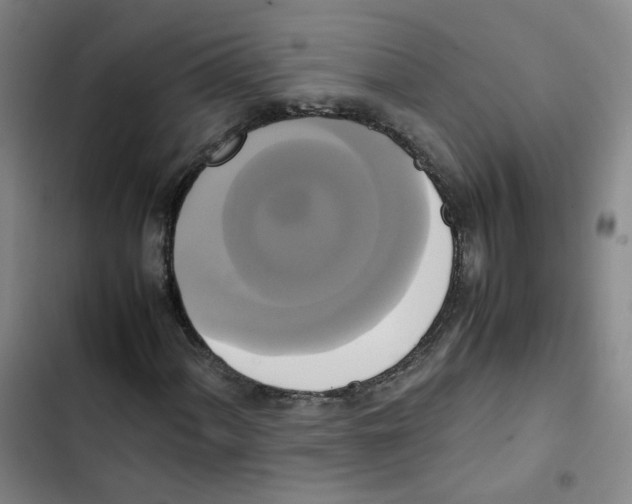 X0000102841060200809151058