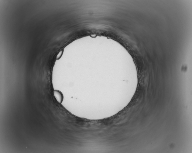 X0000102841061200809151058