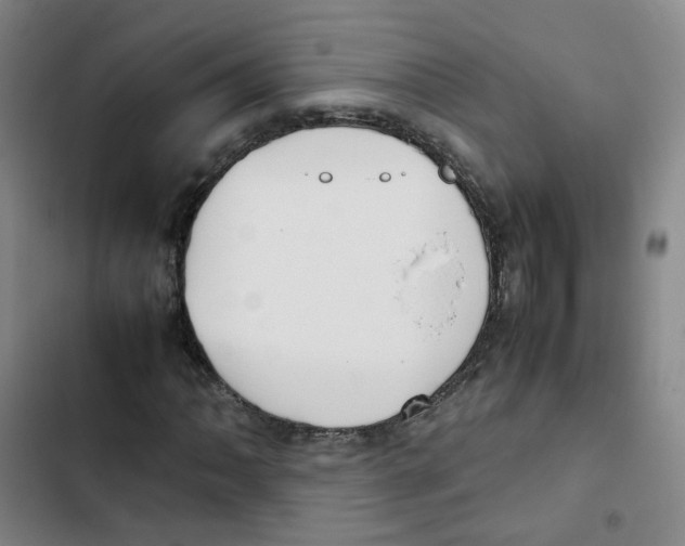 X0000102841062200809151058