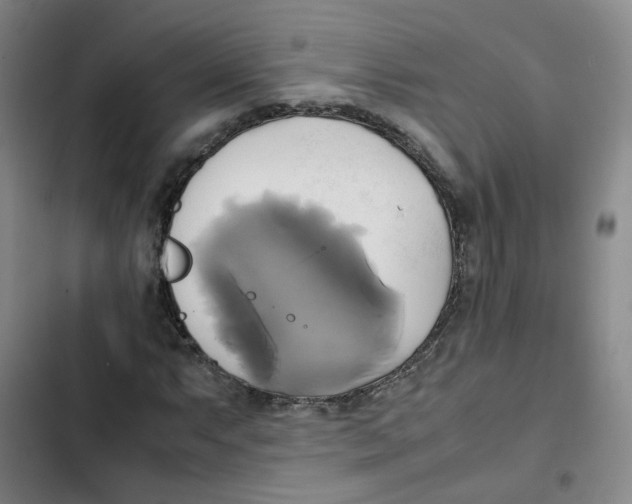 X0000102841063200809151058