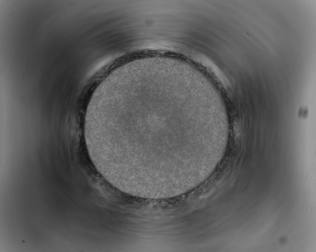 X0000102841064200809151058