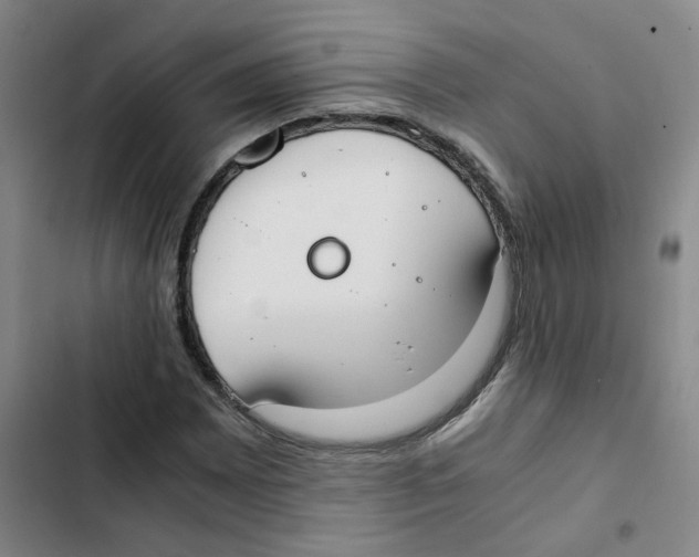 X0000102841065200809151058