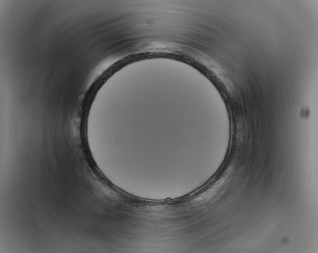 X0000102841066200809151058