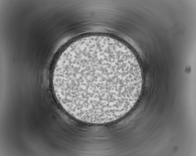 X0000102841067200809151058