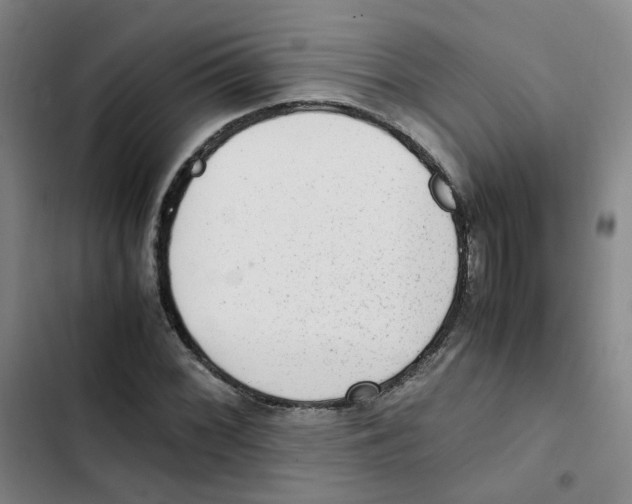 X0000102841068200809151058