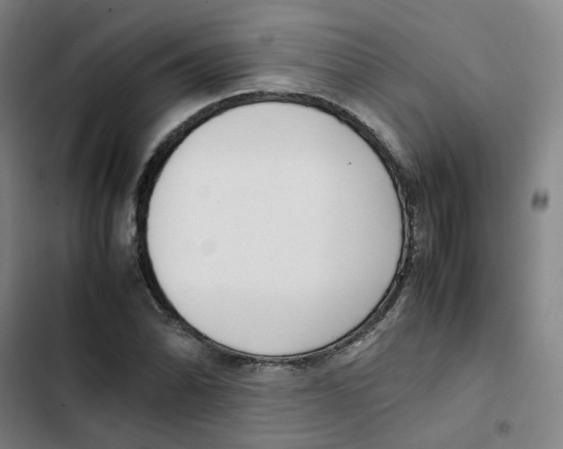 X0000102841070200809151058