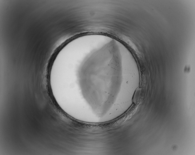 X0000102841071200809151058