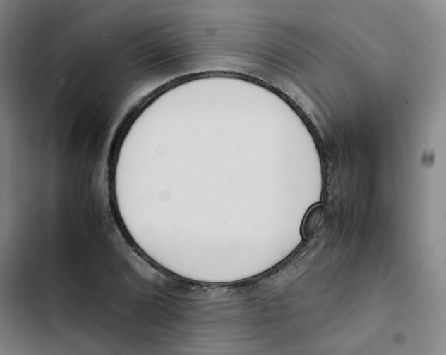 X0000102841072200809151058