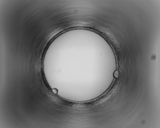 X0000102841073200809151058