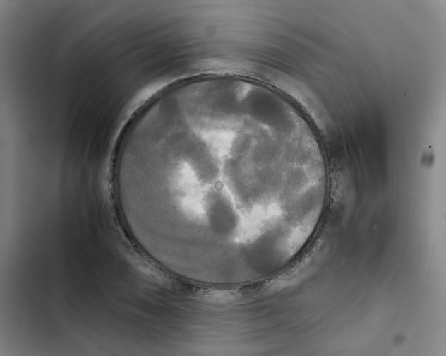 X0000102841074200809151058