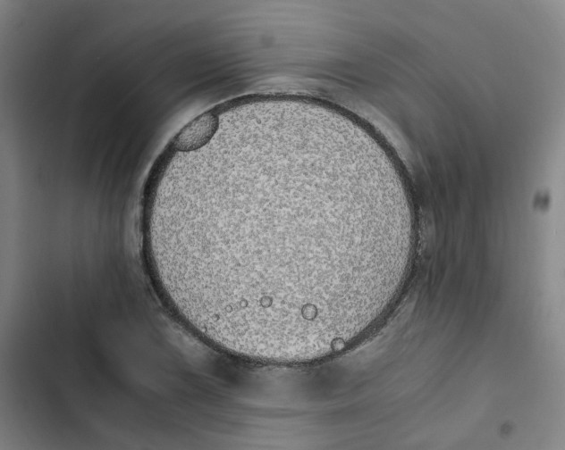 X0000102841075200809151058