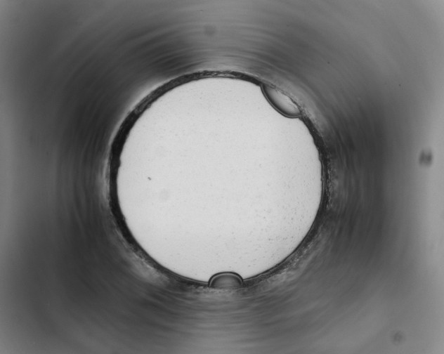 X0000102841076200809151058