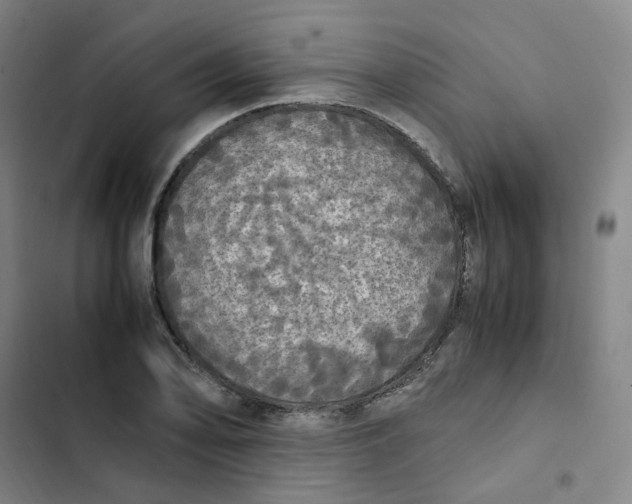 X0000102841078200809151058