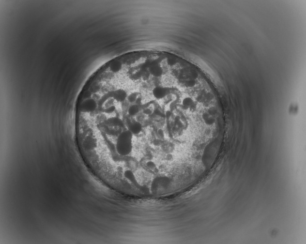 X0000102841079200809151058