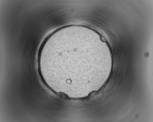 X0000102841080200809151058