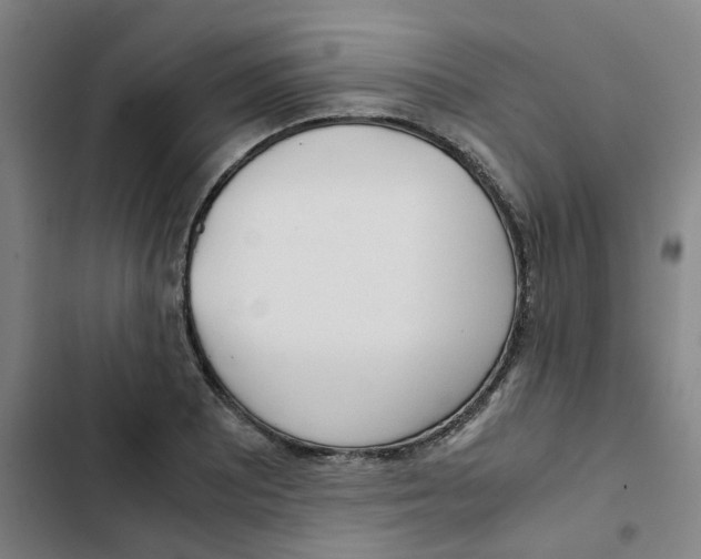 X0000102841081200809151058