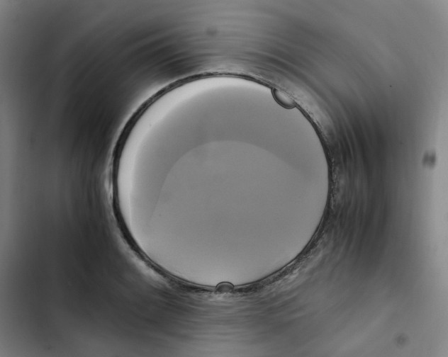 X0000102841084200809151058