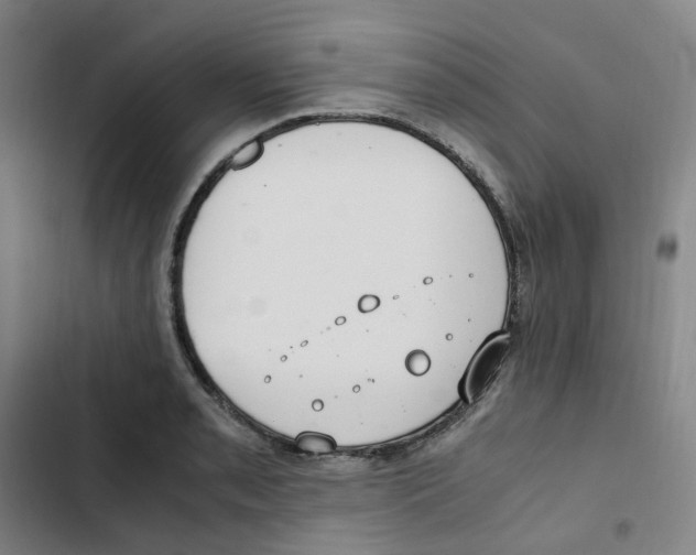 X0000102841085200809151058