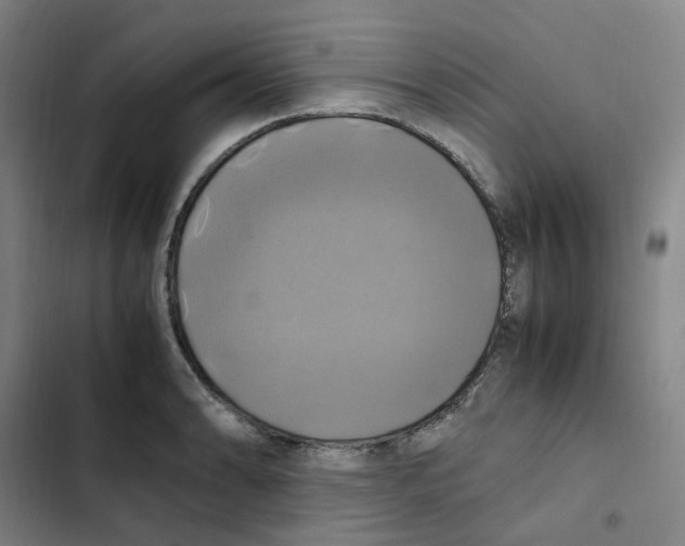 X0000102841086200809151058