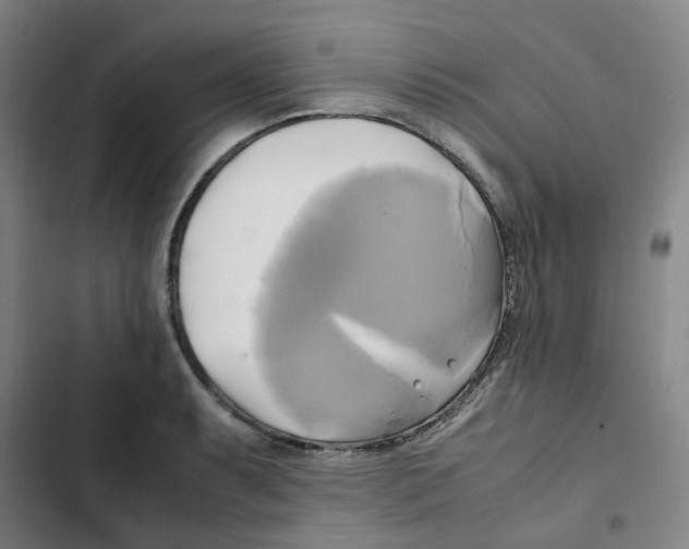 X0000102841087200809151058