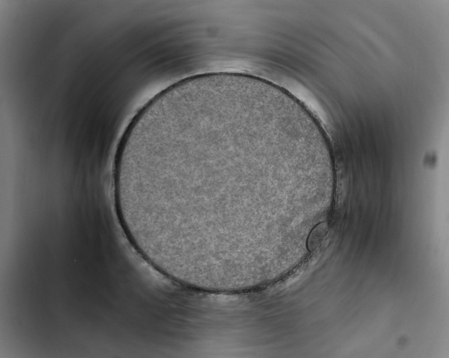 X0000102841088200809151058