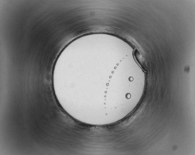 X0000102841089200809151058