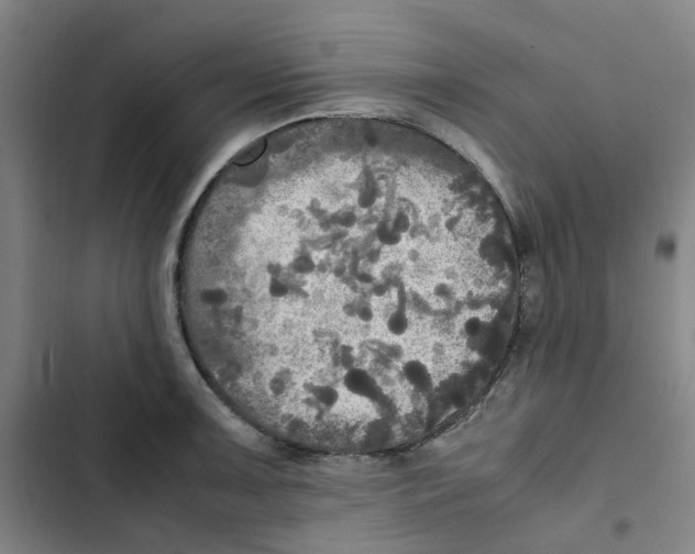 X0000102841091200809151058