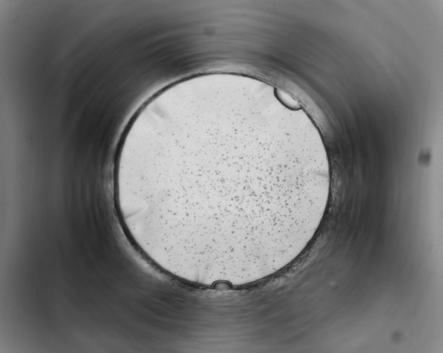 X0000102841092200809151058