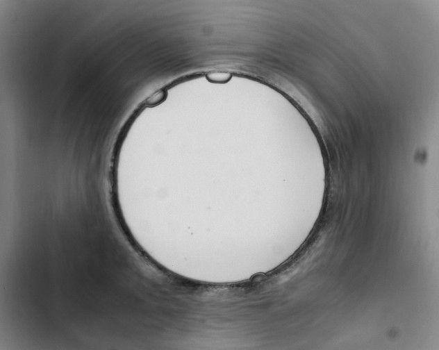 X0000102841093200809151058