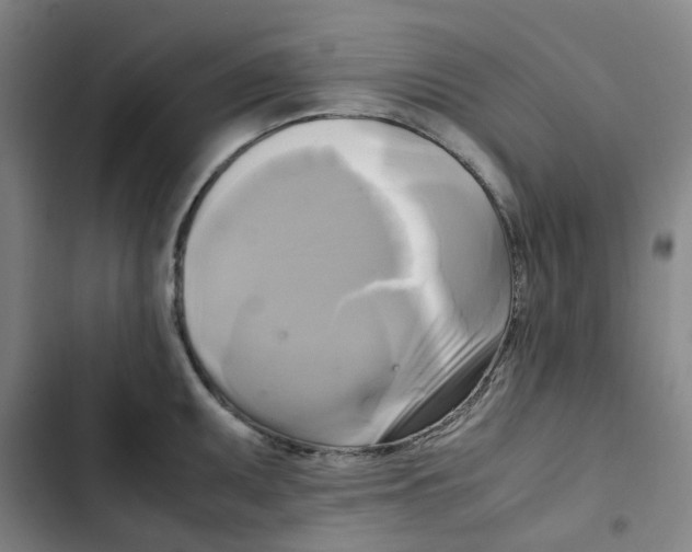 X0000102841095200809151058