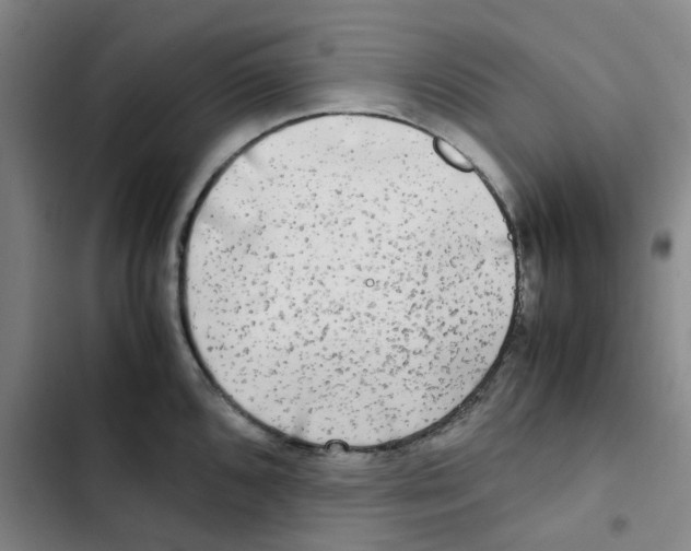 X0000102841096200809151058