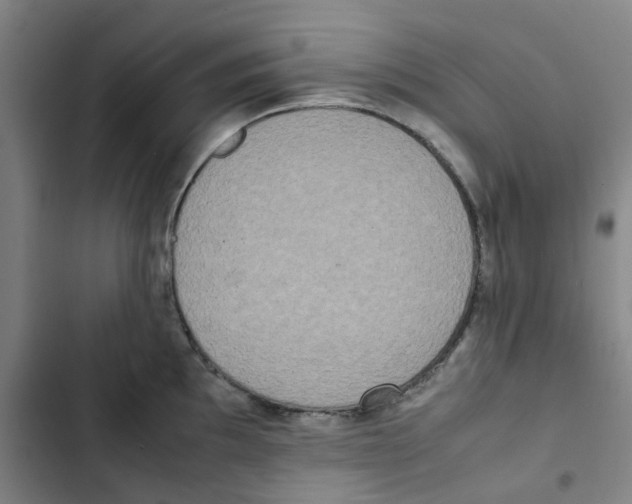 X0000102841097200809151058