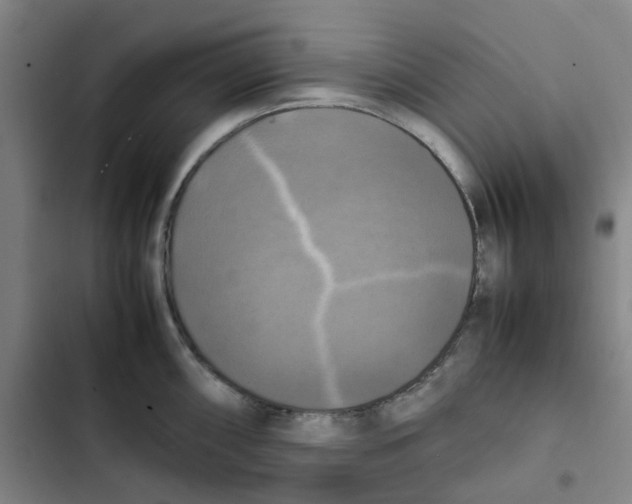 X0000102841098200809151058