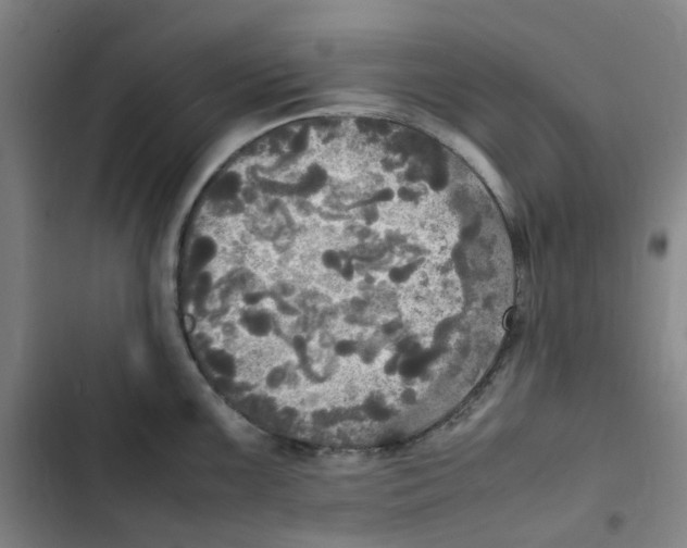 X0000102841099200809151058