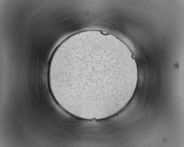 X0000102841100200809151058