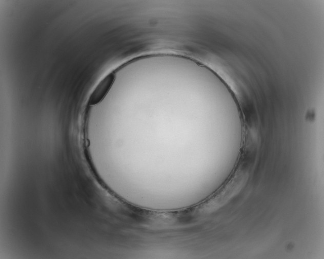 X0000102841101200809151058