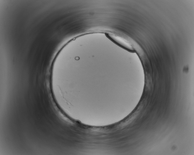 X0000102841102200809151058