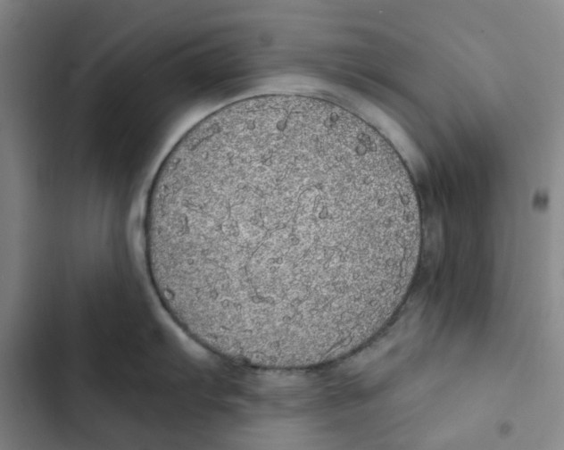 X0000102841103200809151058