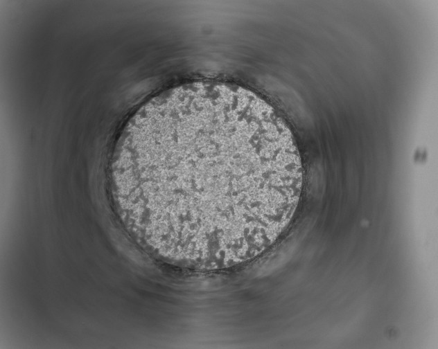 X0000102841105200809151057