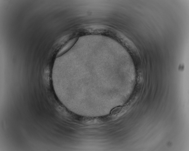 X0000102841108200809151057