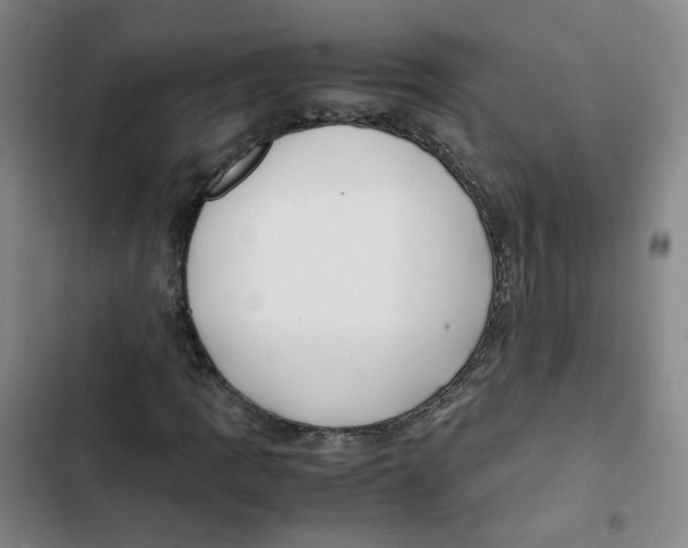 X0000102841109200809151057